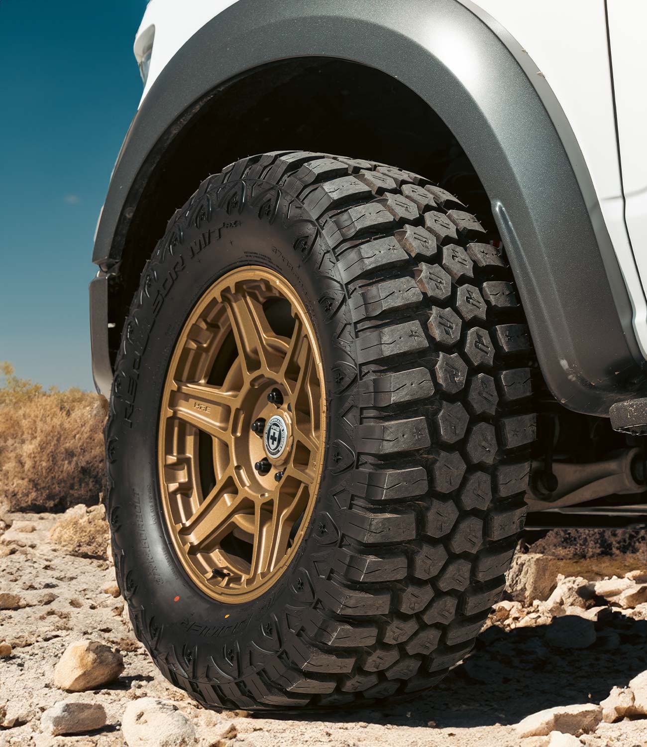 ford f150 raptor with bronze hre wheels and rbp tires